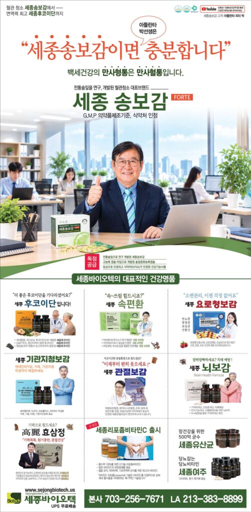 2026 세종 송보감 New2